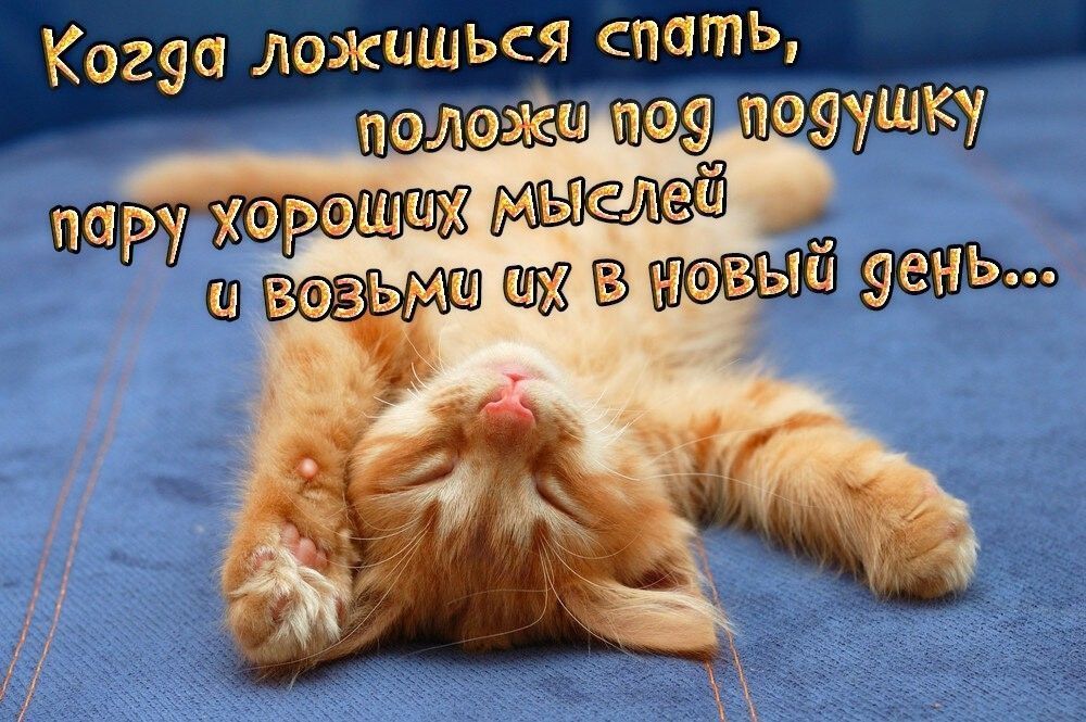 нать Когуа ложишься ПО