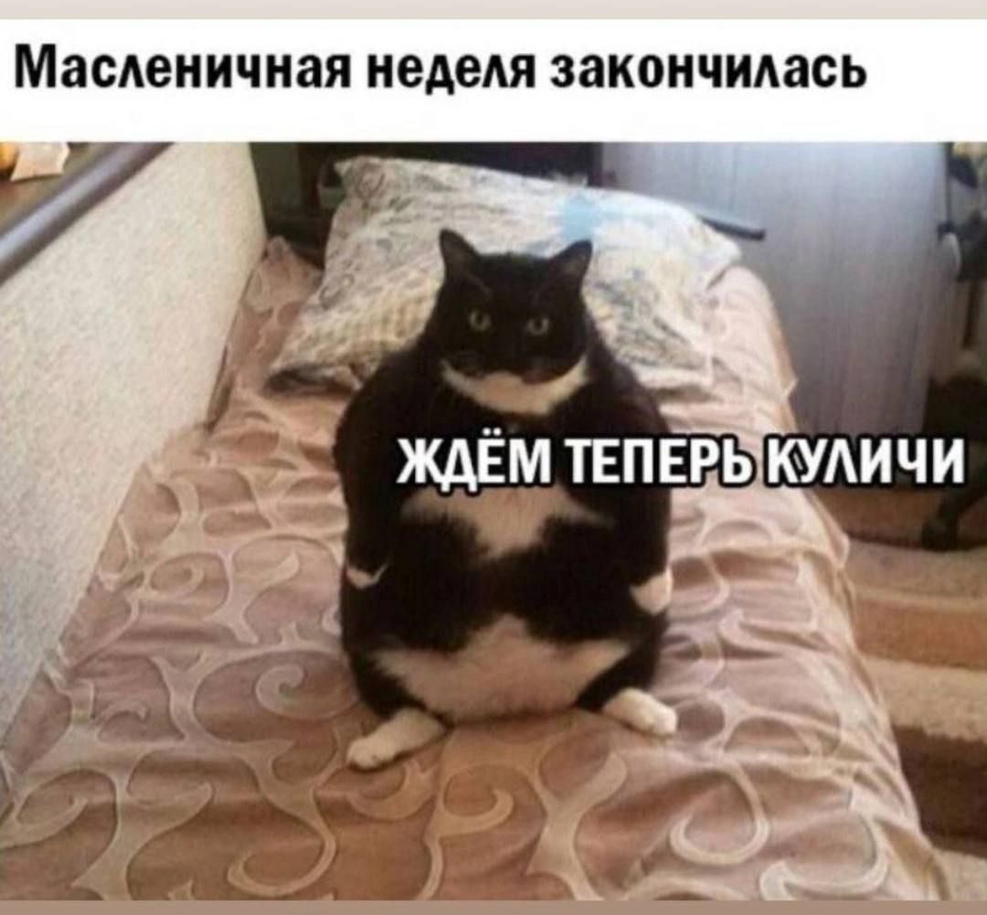 МасАеничная ЗАЕМ ЗЗКОНЧИАЭСЬ