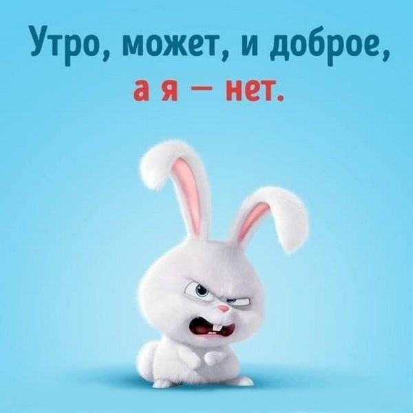 Утро может и доброе я мт Щ