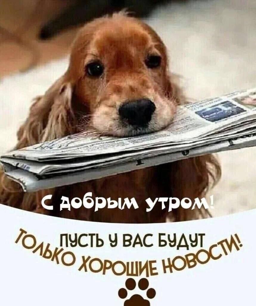 УО ЛУСТЬ Ч ВАС БУДУТ 6 Хорошп_ НОВОС У