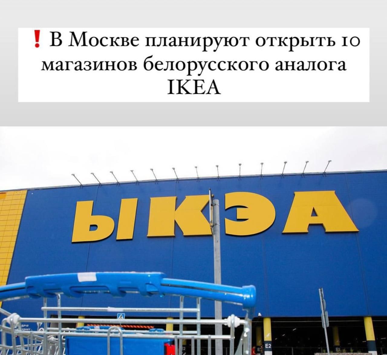 В Москве планируют открыть Ю магазинов белорусского аналога 1КЕА