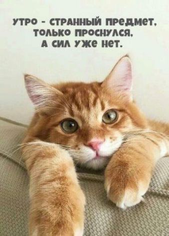 то т тдиет только типа А ш уже нет