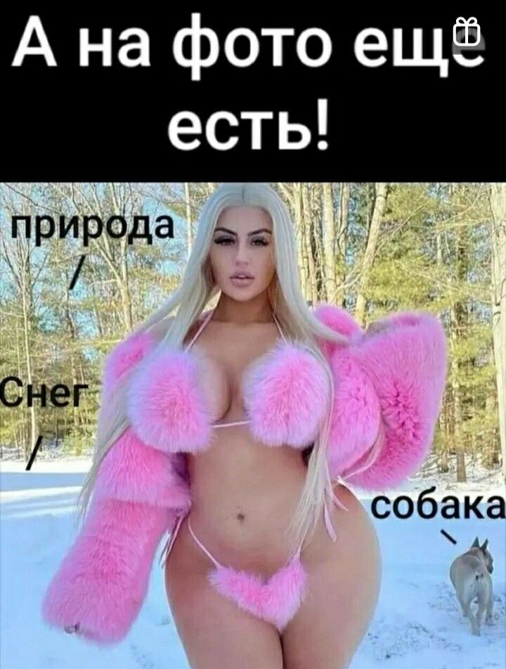 А на фото ещё есть прир0да дддд М Снег Г 1 собака