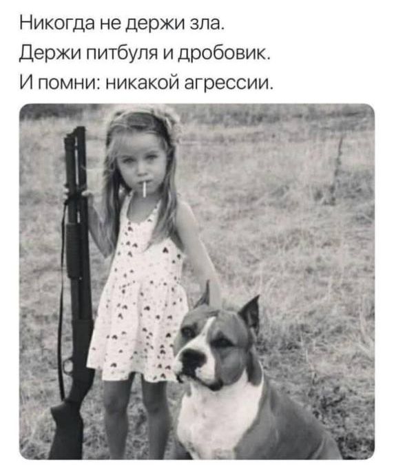 Никогда не держи зла Держи питбуля и дробовик И помни никакой агрессии