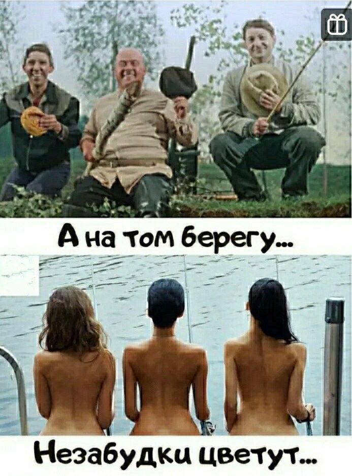 Незабудка цвётут