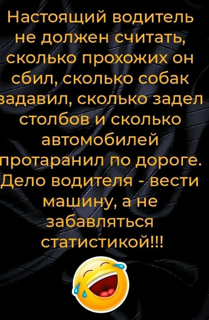 Настоящий водитель не догЁжендрчитать сколБко про ежиЁЁон сбилсколы эбак задавйл сколькозадеп столбеЁЙ сколько Ё автомобилей превракил ло дороге Дело вод тет яёёести зада пяться сггистикой