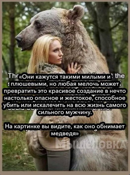 _ТПМОни кажутся такими ми_п_ыми и Ю плюшевыми нолюбая мелочь можетъ превратить это красивое создание в нечто настолько_ опасн е и жес к убить или искалечить на всю жизнь самого сильного мужчину На картинке_ вы видите как оно обнимает медведя