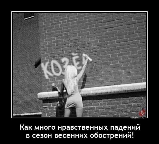 Как многа нравственных падений в сезон весенних обострений