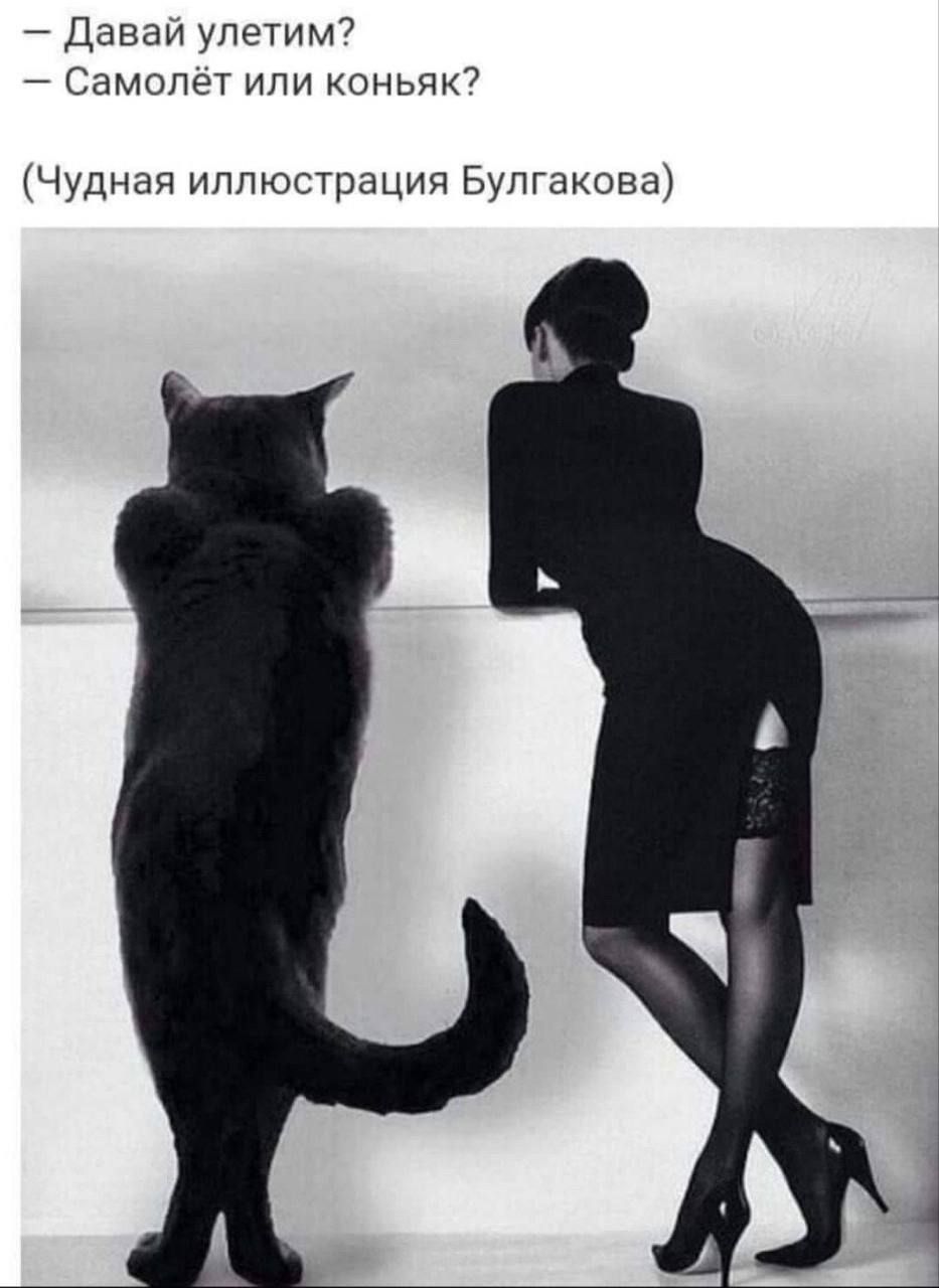 дпвпи упеТим7 Самипет или комы7 Чудная иллюстраций Булгакова
