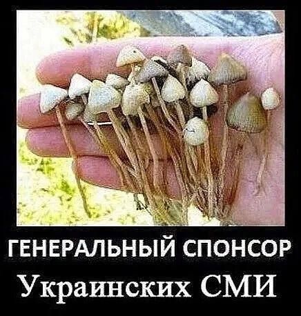 ГЕНЕРАЛЬНЫЙ спонсор Украинских СМИ