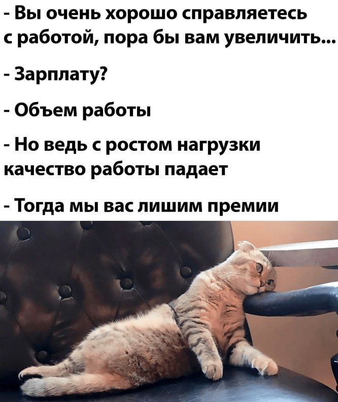 Вы очень хорошо справляетесь с работой пора бы вам увеличить Зарплату Объем работы Но ведь с ростом нагрузки качество работы падает Тогда МЫ ВВС ИШИМ ПРЕМИИ