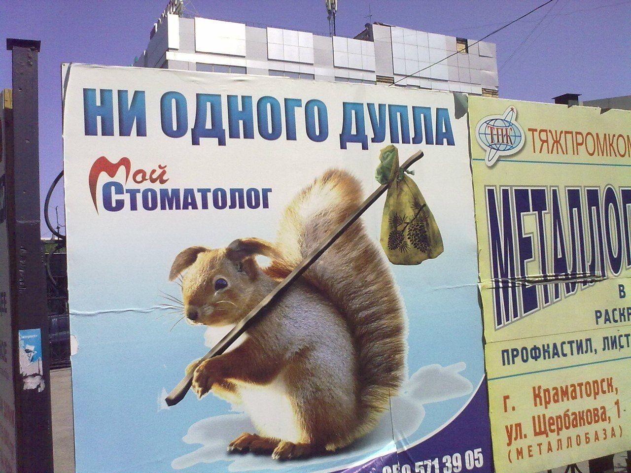 7 Ш цщшъГ стоматит