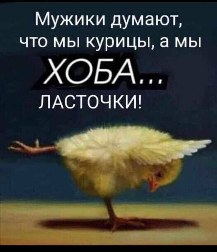 Мужики думают что мы курицы а мы ХОБА ЛАСТОЧКИ