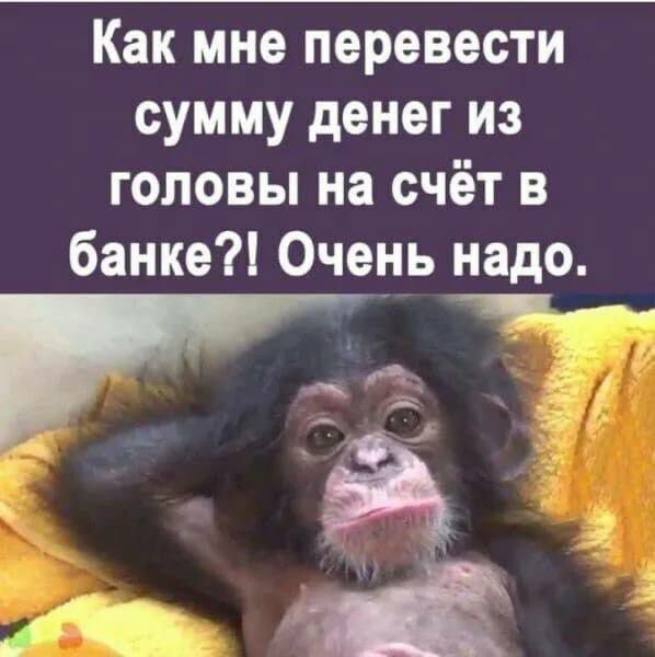 Как мне перевести сумму денег из головы на счёт в банке Очень надо и газ