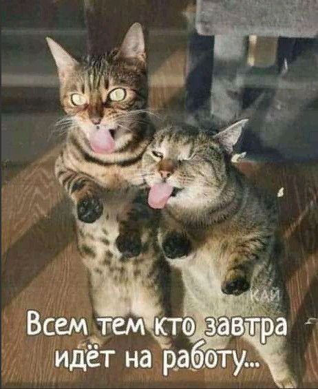идет на р_а ету