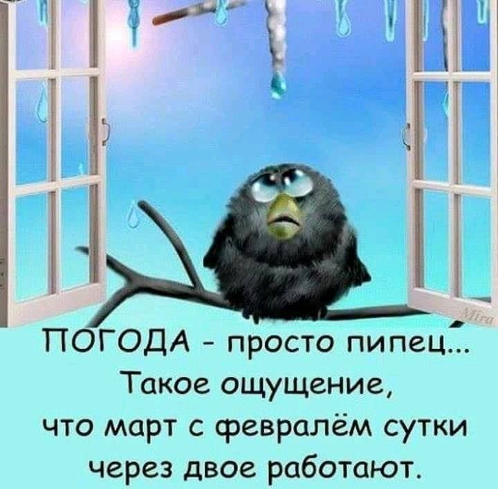 маг і 1 Ъ ПОГОДА просто пипец Такое ощущение что март с февралём сутки через двое работают _Ь_____