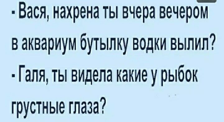 Вася нахрена ты вчера вечером в аквариум бутылку водки выпип Галя ты видела какие у рыбок грустные глаза