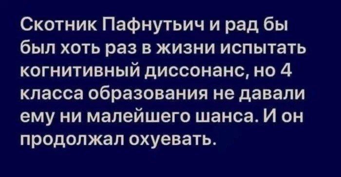 Скотник Пафнутьич и рад бы был хоть раз в жизни испытать когнитивный диссонанс но 4 класса образования не давали ему ни малейшего шанса И он продолжал охуевать