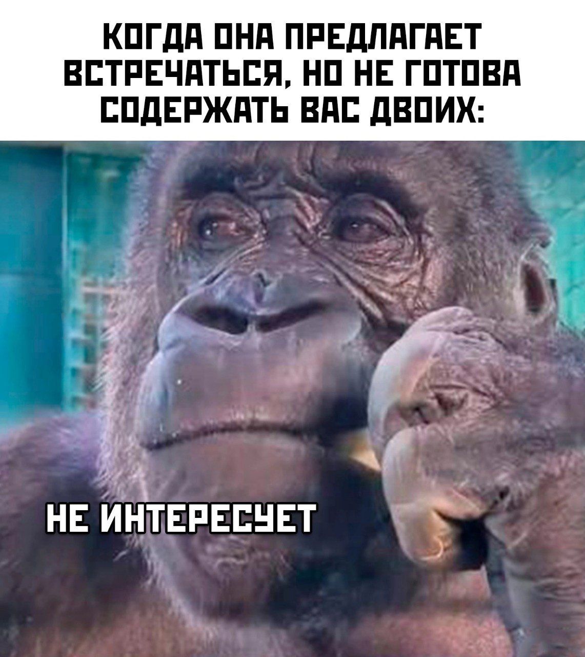 КПГдд ПНП ПРЕдППГПЕТ ВЕТРЕЧПТЬЕП НП НЕ ГПТПВП ЕПЛЕРЖПТЬ ВАС дВПИХ з4 НЕ ИНТЕРЕЕНЕТ