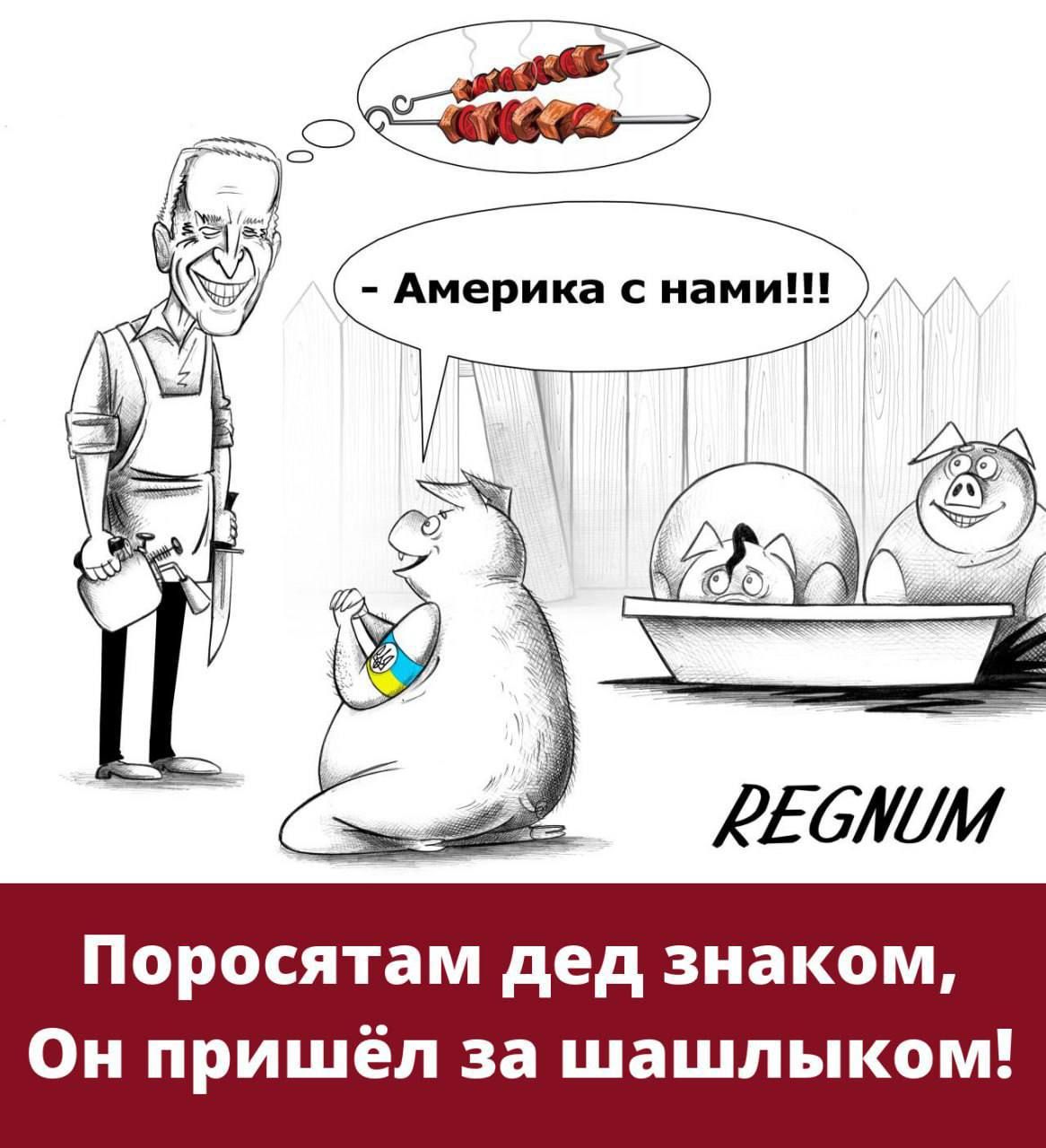 Поросятам дед знаком Он пришёл за шашлыком