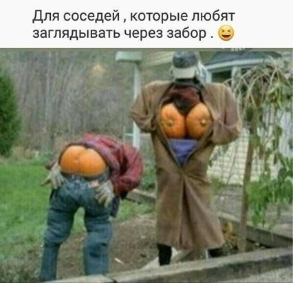 Для соседей которые люб заглядывать через забор