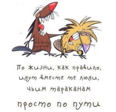 По ЖЦЗНы как пудцАо шут Жмите тг мови чъим таеаканам пеосто По пути