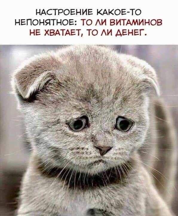 НАСТРОЕНИЕ КАКОЕ ТО НЕПОНЯТНОЕ ТО АИ ВИТАМИНОВ НЕ ХВАТАЕТ ТО АИ АЕНЕП