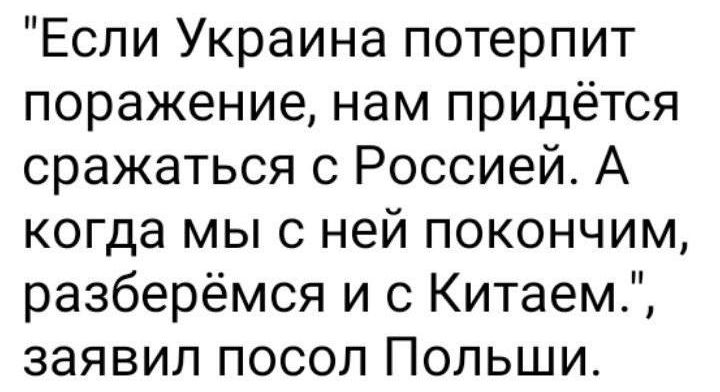Если Украина потерпит поражение нам придётся сражаться с Россией А когда мыс ней покончим разберёмся и с Китаем заявил посол Польши