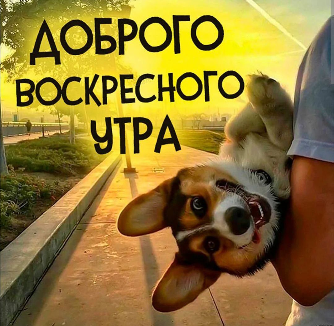 ЛОБРОГО ВОСКРЕСНОГО