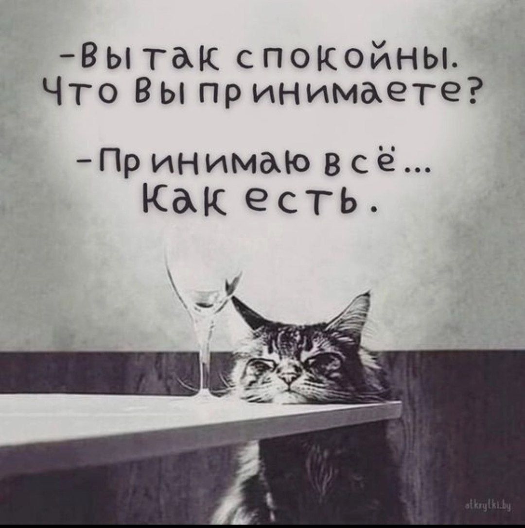 в ы так спокойны Что Вы пр инимаете Пр инимаю всё КМ есть