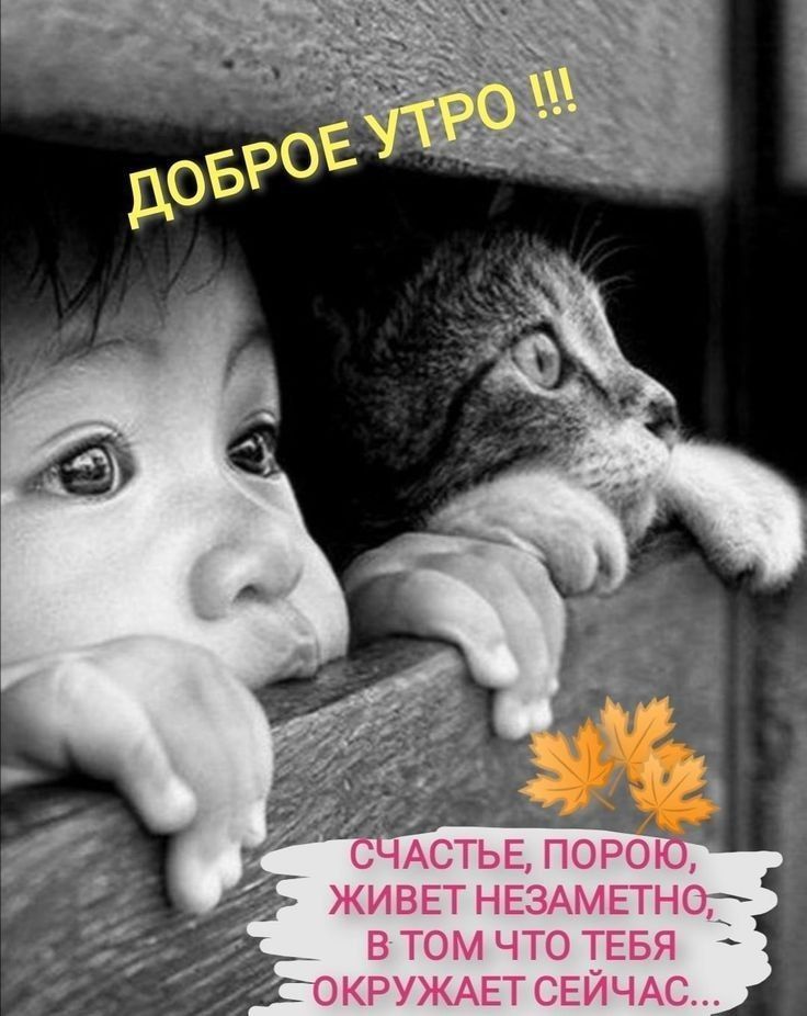 бЧАСТЬЕ пороіб живгт НЕЗАМЕТН0 в том что ТЕБЯ ОКРУЖАЕТСЕЙЧАС