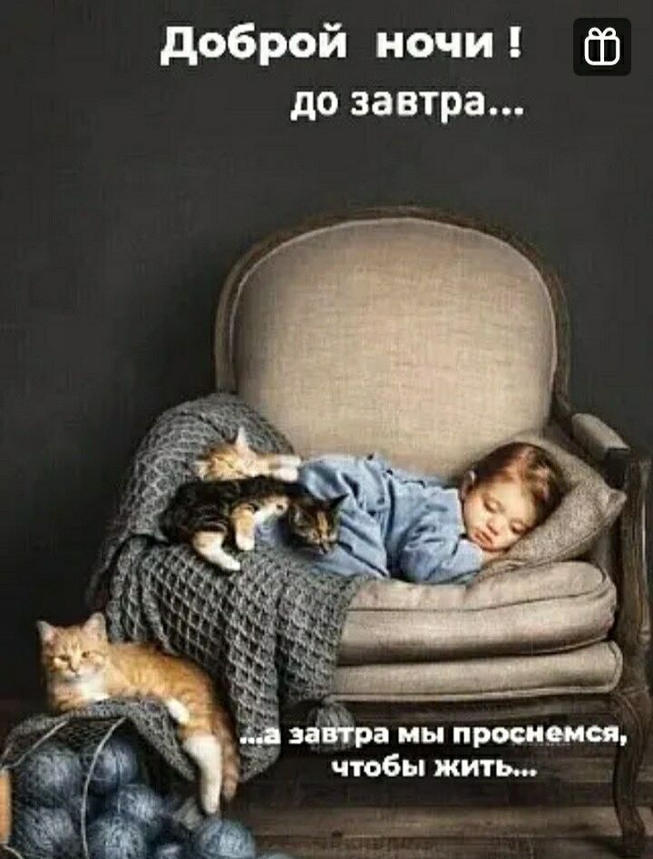 доброй ночи 03 до завтра всЁ ра мы проекты чтобы жить