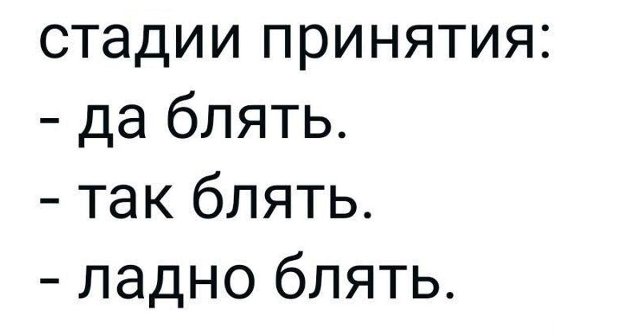 стадии принятия да блять так блять ладно блять