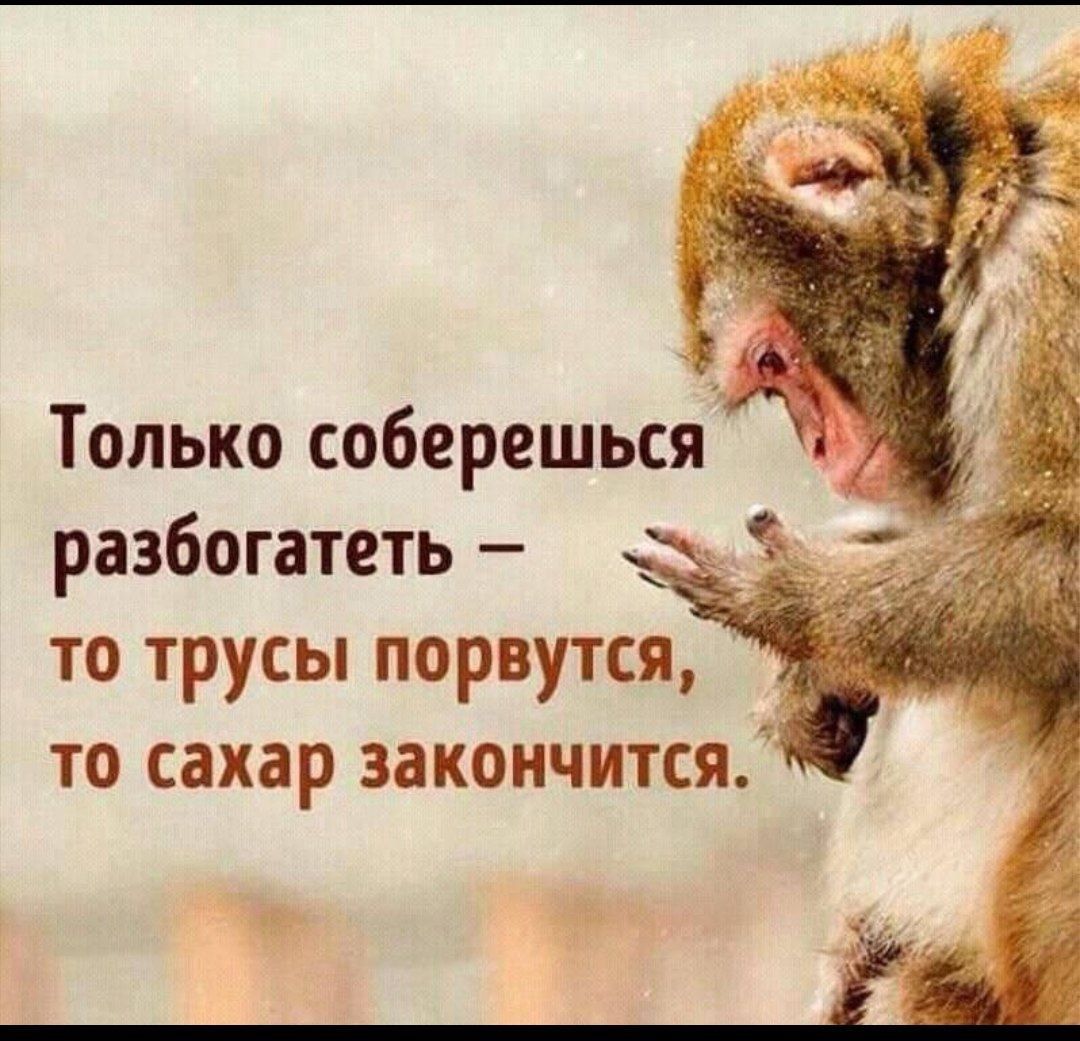 Только соберешьсяд разбогатеть _ то трусы порвутся то сахар закончится
