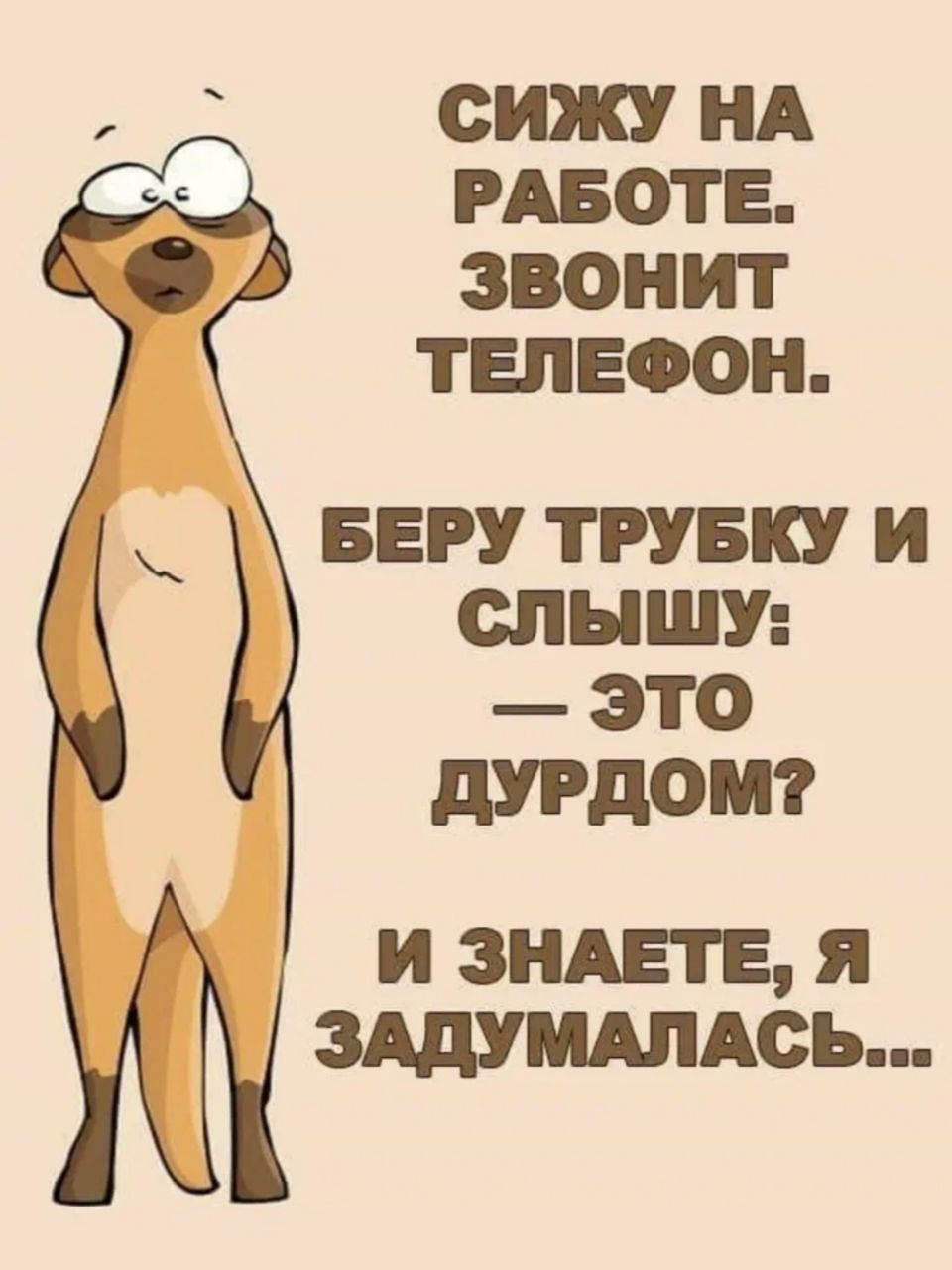 СИЖУ НА РАБОТЕ ЗВОНИТ ТЕЛЕФОН БЕРУ ТРУБКУ И СПНШУ ЭТО дУРдОМ и зндвтв я ЗАДУШАСЬ