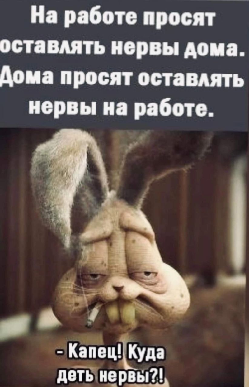 На работе просят остпмть иорвы дона Апиа просят оставлять нервы и рябото Капвцъуда двТЁиервыщ