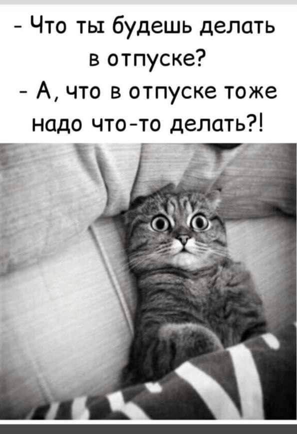 Что ты будешь делать в отпуске А что в отпуске тоже надо чтото делать