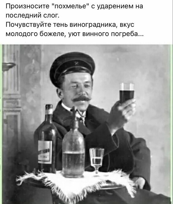 Произносите похмелье ударением на последний слеп Почувствуйте Тень виноградника вкус молодого бпжепе уют винного погреба