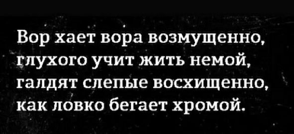 Вор хает вора возмущенно глухого учит жить немой галдят слепые восхищенно как лбвко бегает хромой