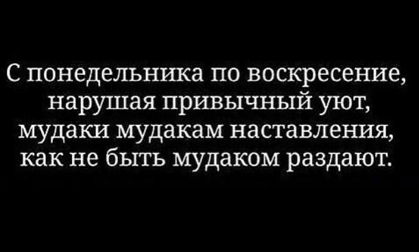 С понедельника по воскресение нарушая привычный уют мудаки мудакам наставления как не быть мудаком раздают