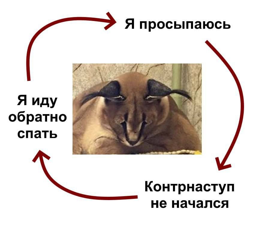 Я просыпаюсь Я Иду обратно СПаТЬ Контрнаступ не начался
