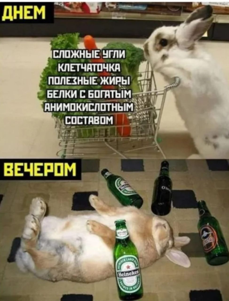 с пижмы ити кпп шпики папины живы БЕЛКИ нпппым