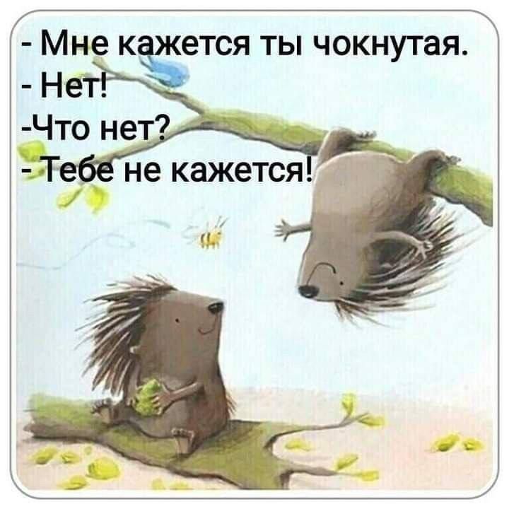 Мне К ЕТСЯ ТЫ ЧОКНУТЗЯ