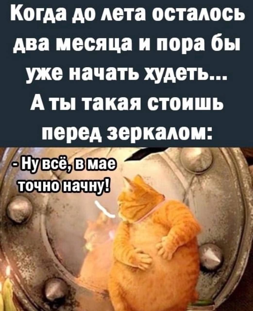 Когда до Аста осталось два месяца и пора бы уже начать худеть А ты такая стоишь перед зеркалом т