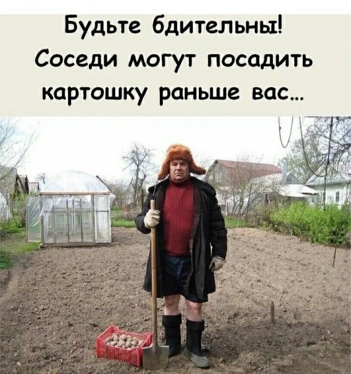 Будьте бдительны Соседи могут посадить картошку раньше вас