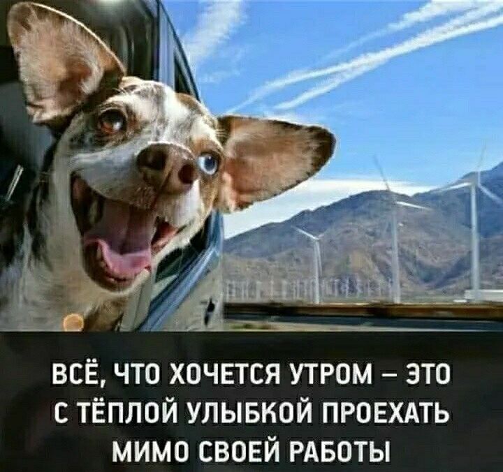 всё что хпчвтся утром это тёплой улывкой пгоехдть мимо своей РАБОТЫ