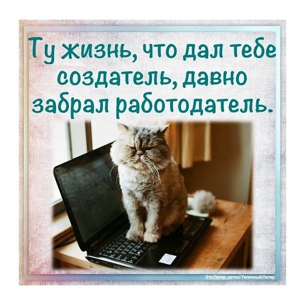 Ту жизнь что дал тебе создатель давно забрал работодатель