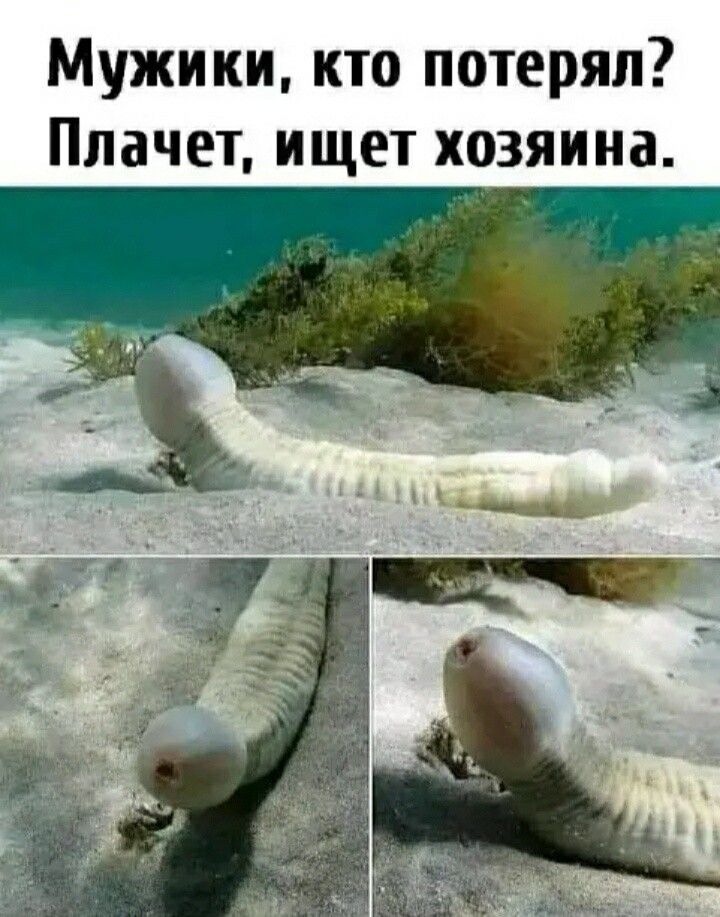 Мужики кто потерял Плачет ищет хозяина