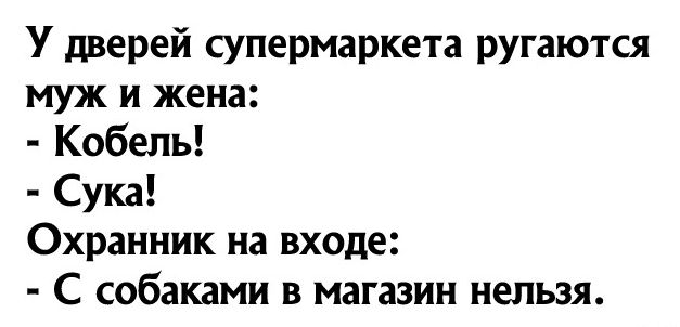 У дверей супермаркета ругаются муж и жена Кобель Сука Охранник на входе С собаками в магазин нельзя