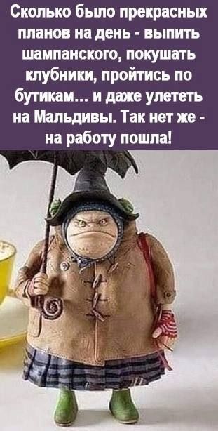 Сколько было прекрасных планов на день выпить шампанского покушать клубники пройтись по бутик и и даже улететь на Мальдивы Так нет же на работу пошла
